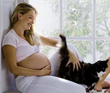 Risker med kattlåda när man är gravid